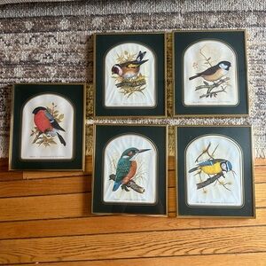 Vintage set of 5 David Andrew’s bird photos gold framed 11x13